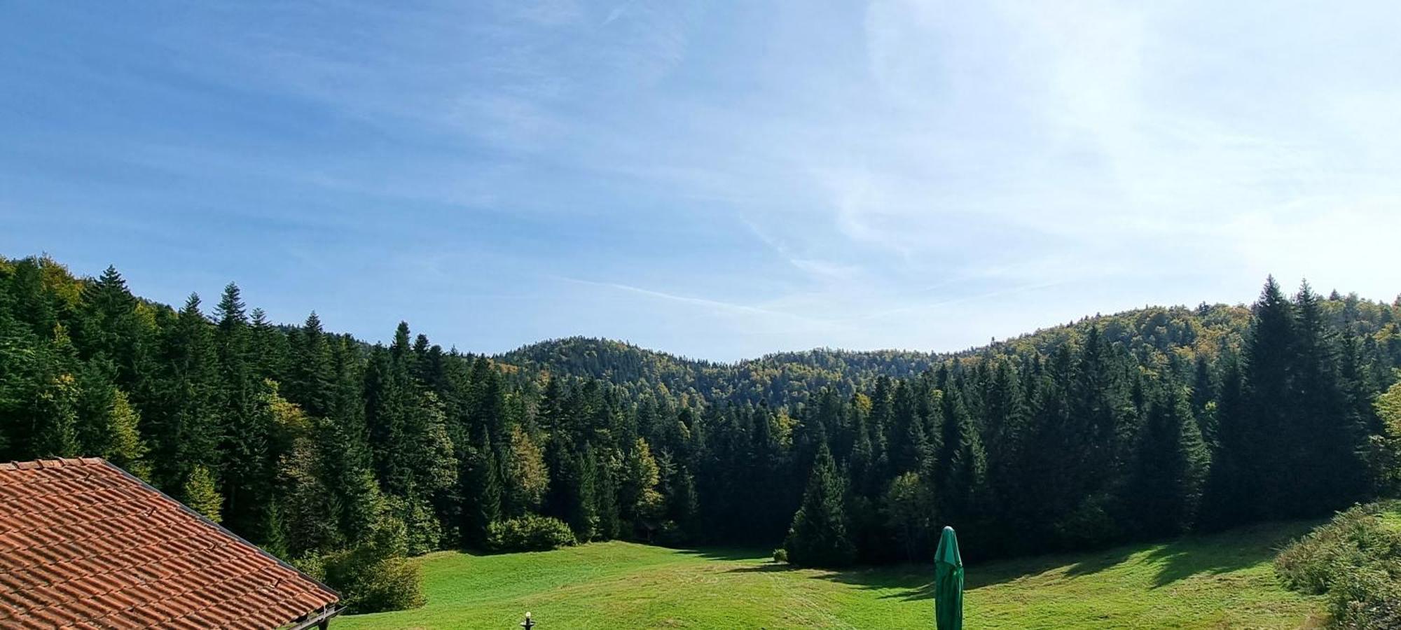 Planinski Dom Na Travni Gori Sodrazica ภายนอก รูปภาพ